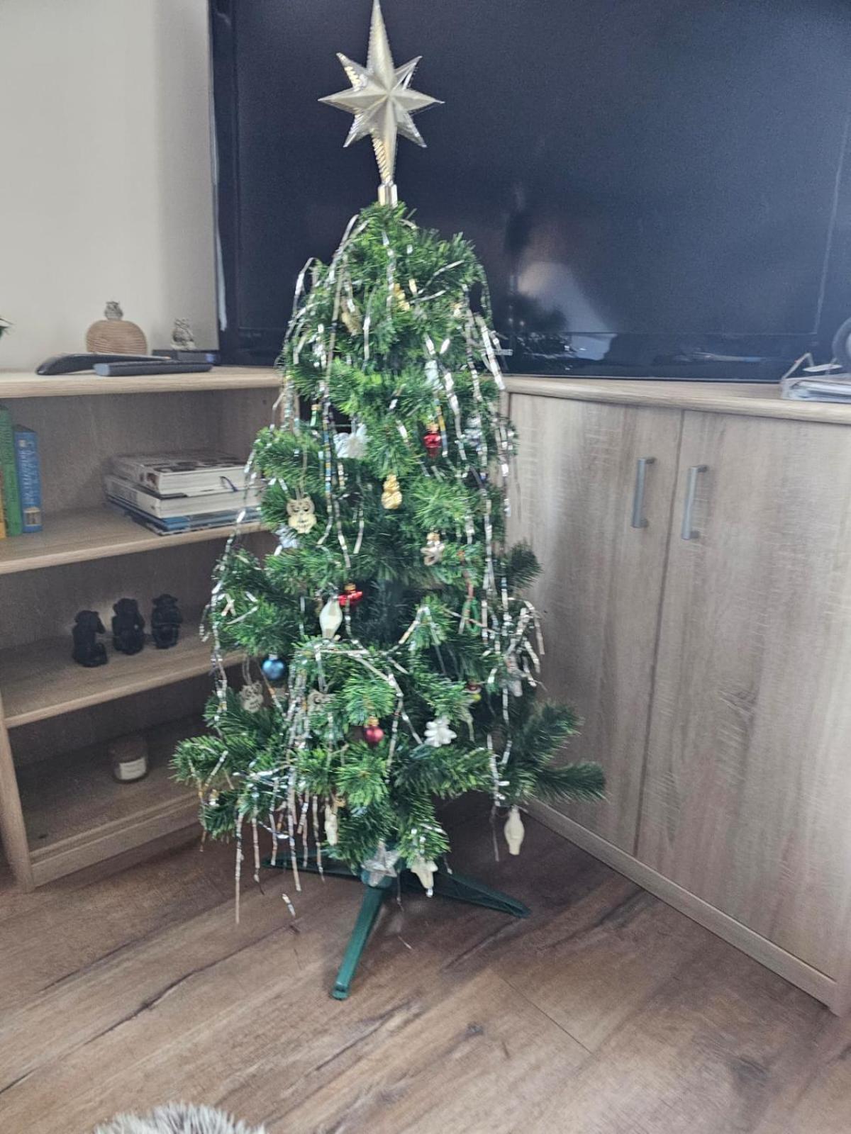 Apartment Owl Корженов Екстер'єр фото